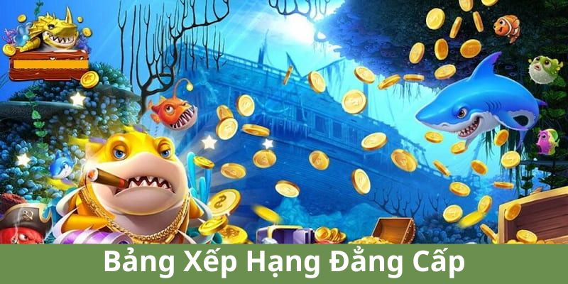 Bảng xếp hạng đẳng cấp