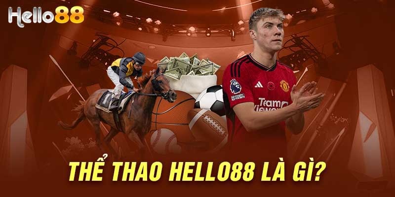 Giới thiệu các thông tin cần biết về tỷ lệ cược bóng đá trực tuyến