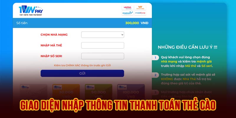 Giao diện nhập thông tin thanh toán thẻ cào