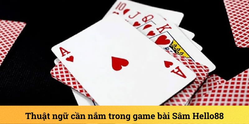 Giải mã thuật ngữ cơ bản có trong bài Sâm Hello88