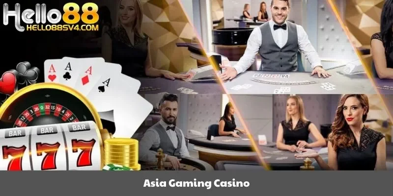 Asia Gaming casino