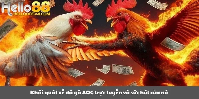 Khái quát về đá gà AOG trực tuyến và sức hút của nó 