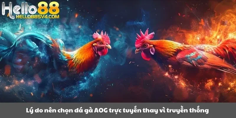Lý do nên chọn đá gà AOG trực tuyến thay vì truyền thống 