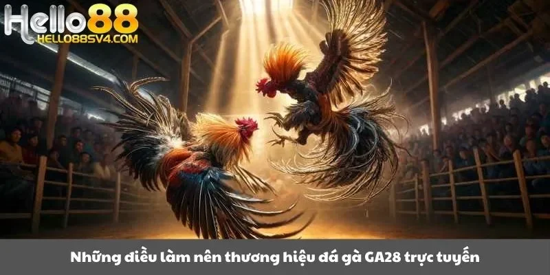 Những điều làm nên thương hiệu đá gà GA28 trực tuyến