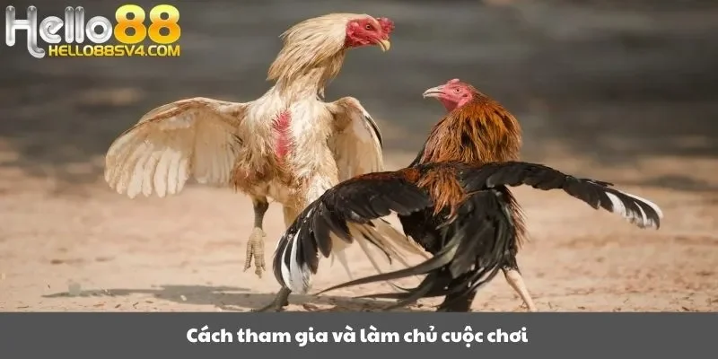 Cách tham gia và làm chủ cuộc chơi 