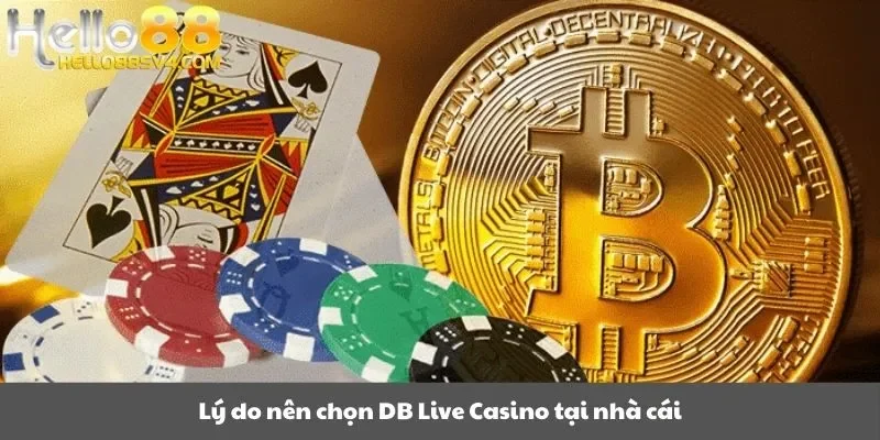 Lý do nên chọn DB Live Casino tại nhà cái
