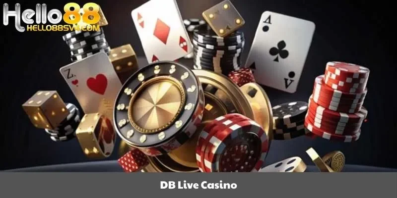 DB Live Casino