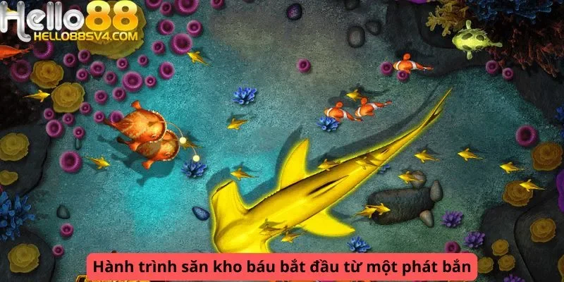 Hành trình săn kho báu