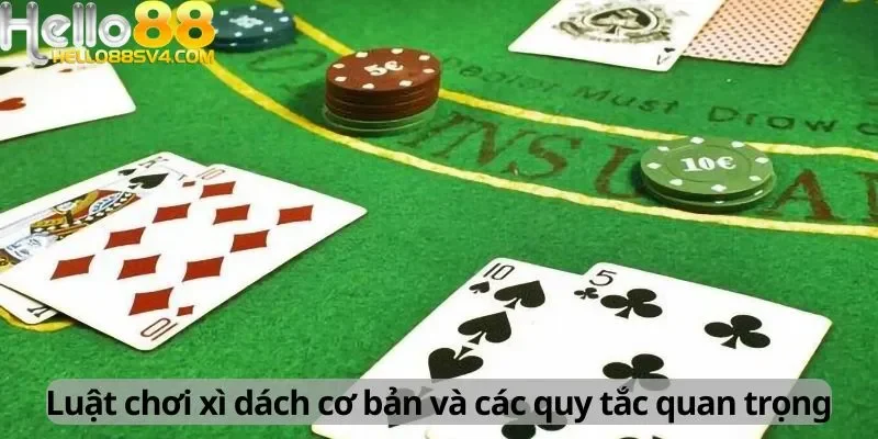 Luật chơi xì dách cơ bản